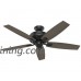 Hunter Fan Company 54189 Ceiling Fan  Large  Matte Black - B06X92JRYK
